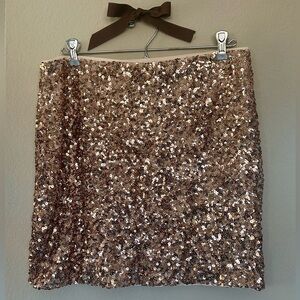 NWOT - Sequin Embellished Skirt - Brown